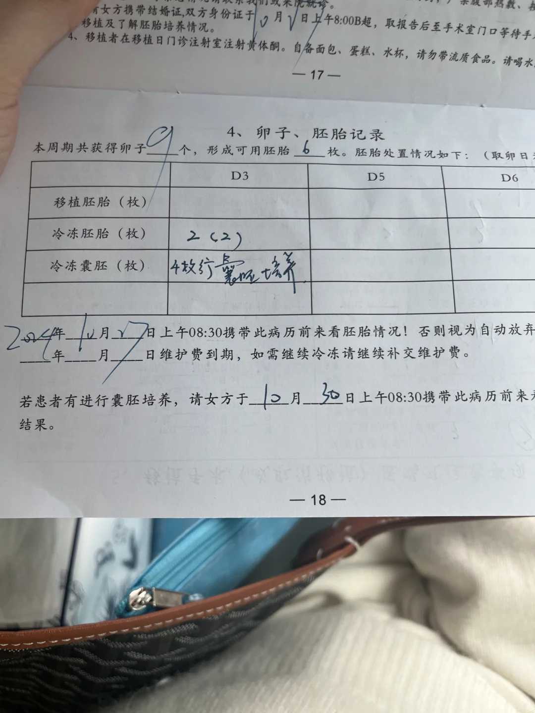 武汉同济医院试管手术绿色通道开通指南